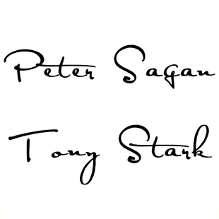 单车英文姓名贴纸环法公路车山地车架反光防水定制平衡车滑步车