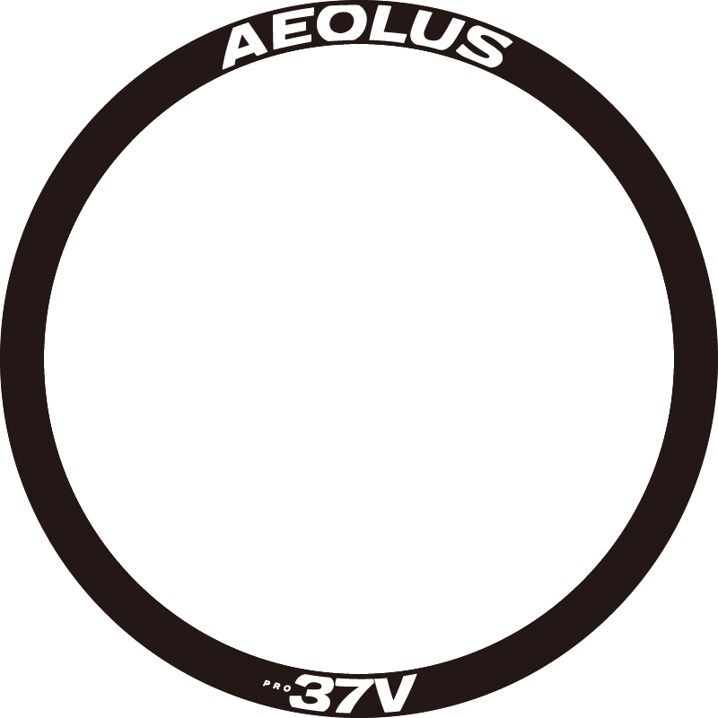 棒槌哥Aeolus37V轮组贴纸TREK