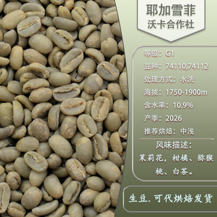 耶加雪菲G1咖啡生豆 水洗处理法沃卡合作社 埃塞俄比亚进口精品豆