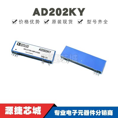 AD202KY 封装SIP-10 丝印AD202KY 隔离式放大器IC芯片 全新原装