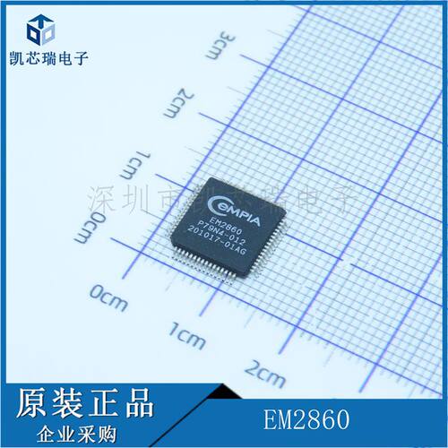 EM2860 QFP64封装 EMPIA 音频解码器芯片  拍前咨询