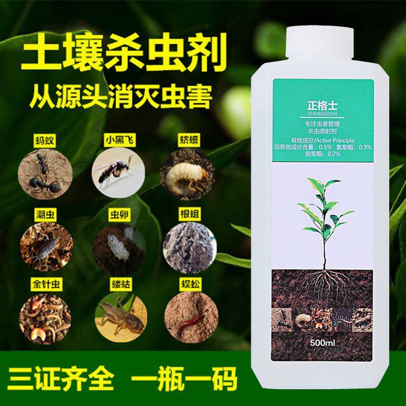 花盆小飞虫杀剂 家用治蚂蚁的室内除夏天里有怎么办专去神器绿植