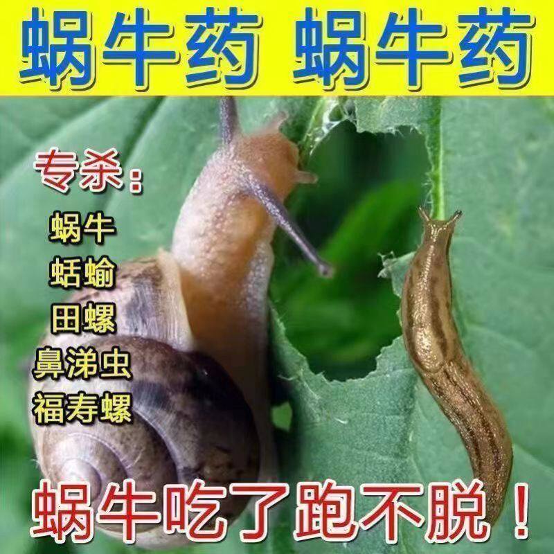 鼻涕虫专用药家用去除虫神器室内驱虫药室内蛞蝓药厨房蜗牛杀虫剂