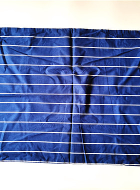 枕头套纯棉全棉枕皮48x73精梳棉枕壳枕巾蓝色学生宿舍枕套 外贸