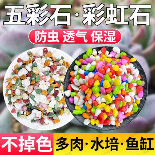 七彩石水培多肉铺面花盆垫底彩色石子白石天然养花园艺鱼缸雨花石