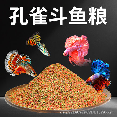 孔雀鱼增彩鱼食孔雀鱼饲料灯科鱼小型热带小颗粒微颗粒热带鱼粮