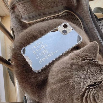 gayiu/「天下无双」陈奕迅镜面手机壳粤语歌适用于安卓苹果