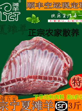 宁夏盐池滩3斤手抓新鲜烧烤羊肉