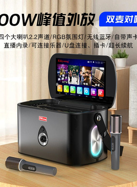 广场舞音响带屏幕功放一体机2025新款大音量户外演出唱歌蓝牙音箱