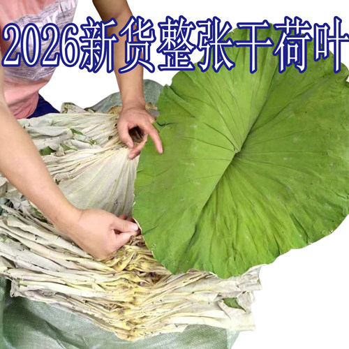 整张微山湖荷叶干糯米鸡荷叶饭