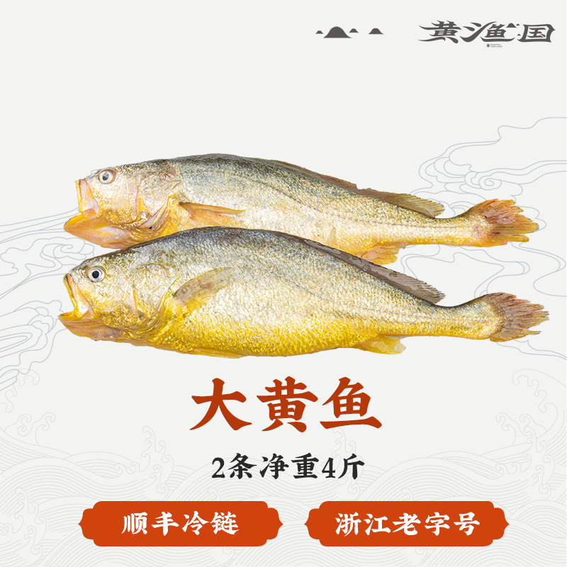 4斤特大新鲜冷冻霞浦2条黄花鱼