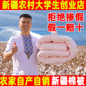 新疆棉被全棉花被被芯棉絮床垫被褥子褥子冬季 被子加厚保暖冬被