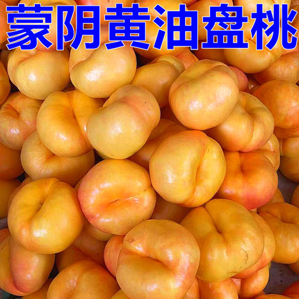 现摘现发山东临沂蒙阴桃新鲜黄油蟠桃露天头茬彩虹蟠桃黄金奶油桃