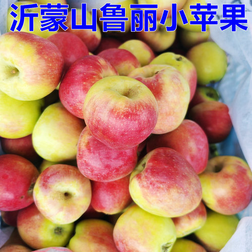 山东蒙阴鲁丽苹果新鲜水果