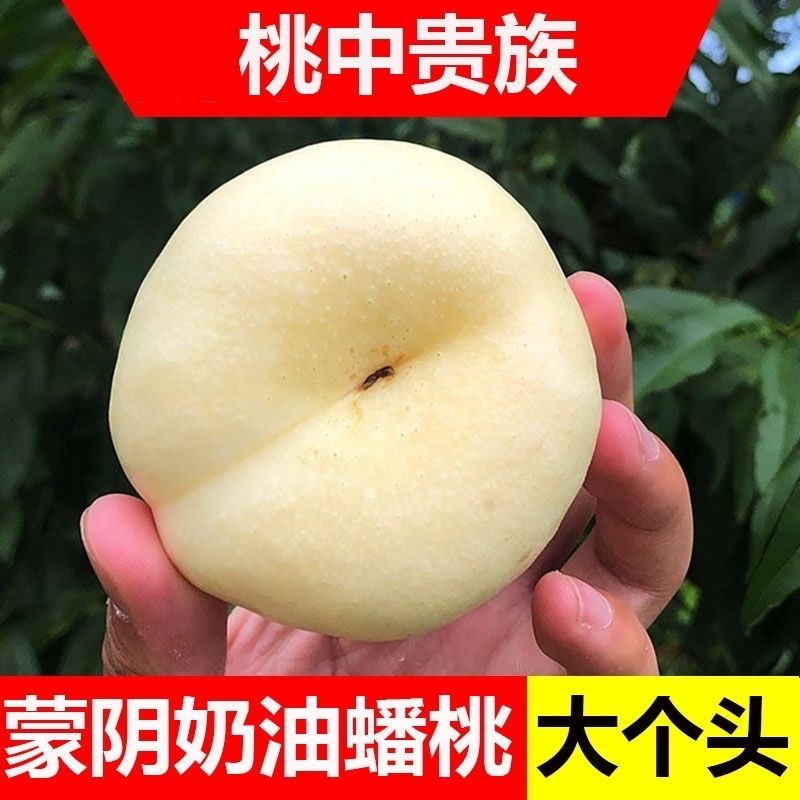 蟠桃白奶油桃蒙阴整箱应季新鲜