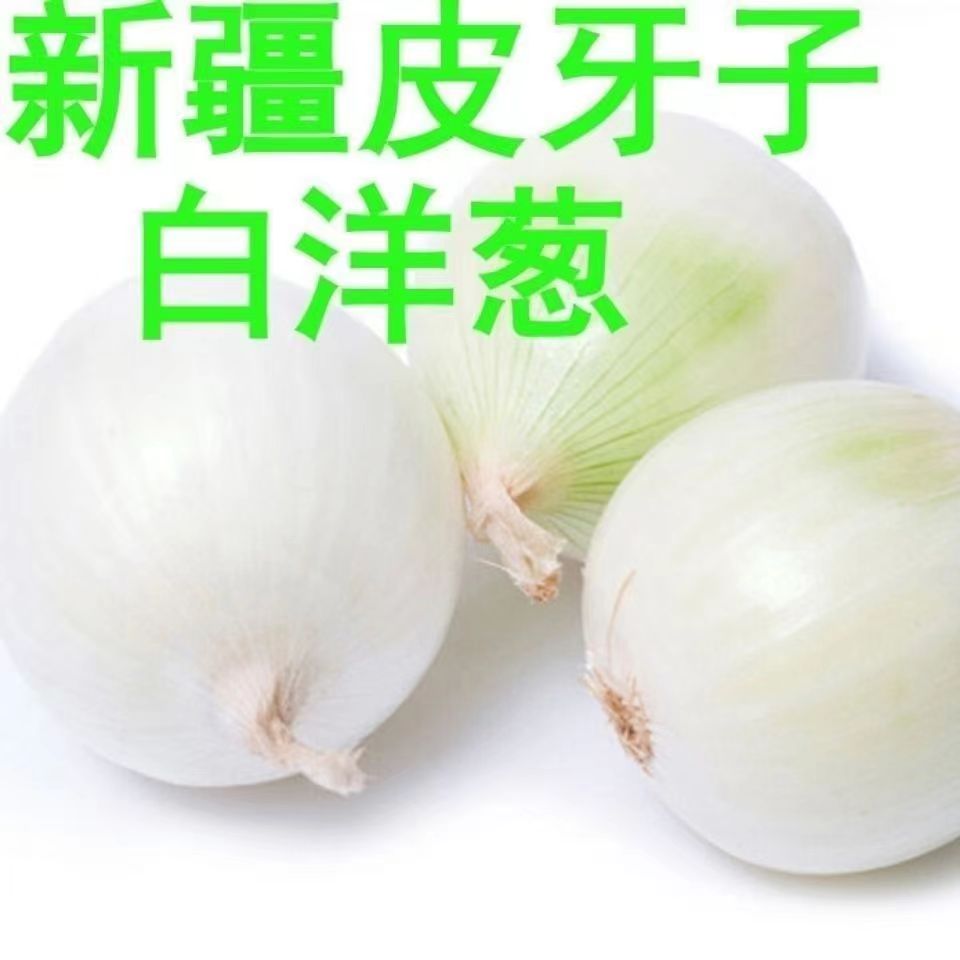 新疆白洋葱白皮牙子凉拌菜新鲜蔬菜生吃5斤圆葱头沙拉