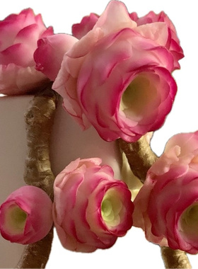 Cc原创迷你树脂黏土仿真多肉山地玫瑰植物小老桩虾饺汽车摆件生日