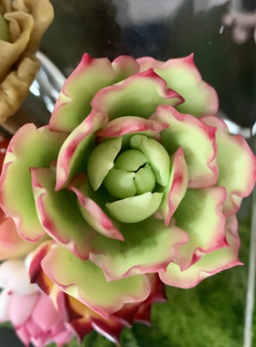 Cc原创树脂黏土仿真蘑菇饺子多肉玉蝶锦乌木玫瑰相框摆件生日礼物