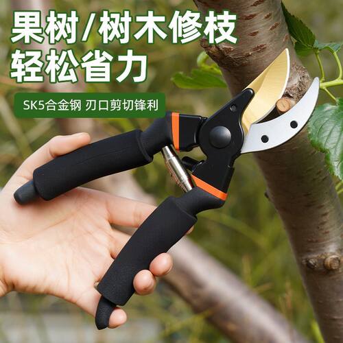 园艺剪刀果枝剪果树修枝剪园林粗枝剪不锈钢省力修剪大力剪多功能