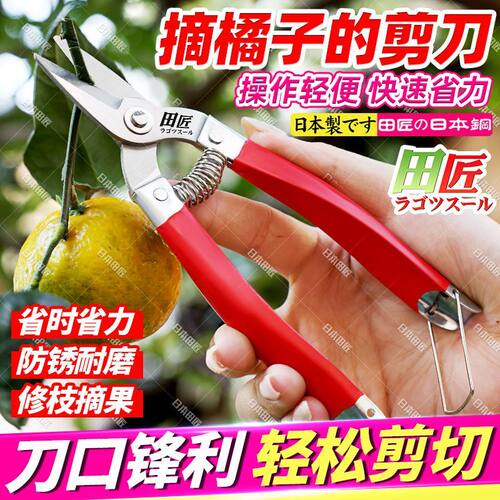 田匠日本不锈钢摘果剪柑橘剪圆头剪果子剪柑桔剪平头采果剪疏果剪