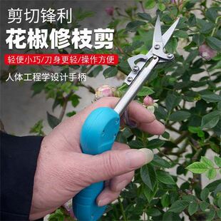 修枝剪花椒枸杞采摘神器尖头采果剪新款专用工具葡萄枝剪叶采果剪