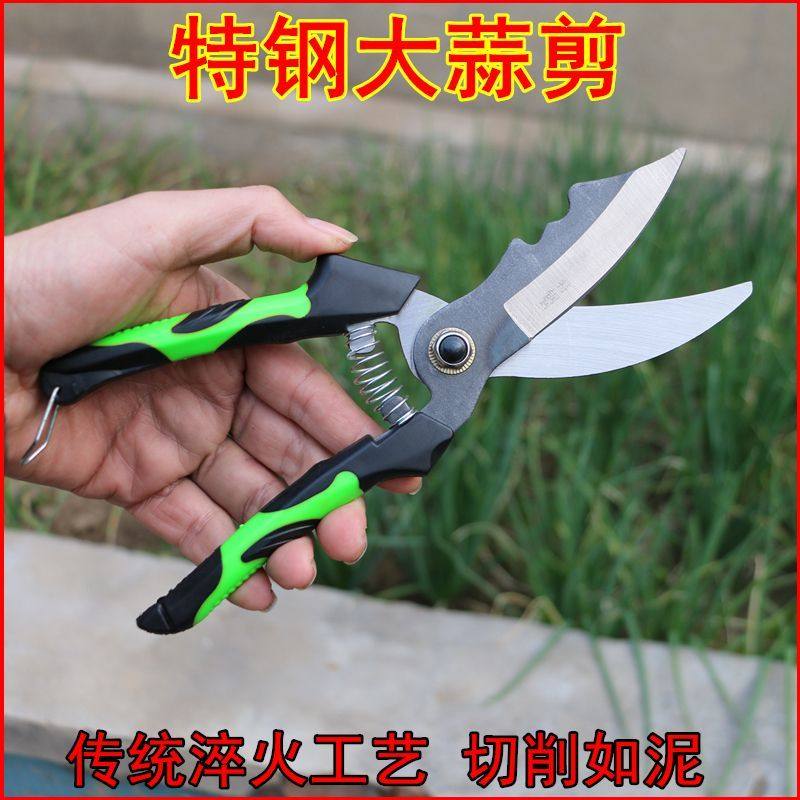 大蒜专用剪子锋利特快免磨高锰钢剪蒜神器剪刀家用农用蒜头洋葱