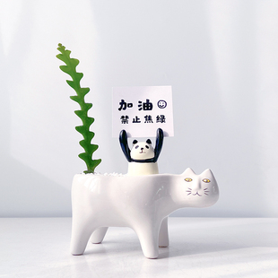 【企业礼物】鱼骨令箭多肉植物仙人掌科办公室卡通猫室内奇趣盆栽