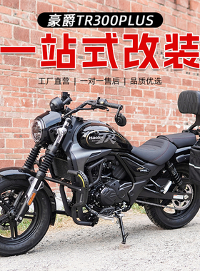 适用豪爵TR300PLUS护杠保险杠改装防水边包折叠靠背货架手把镜