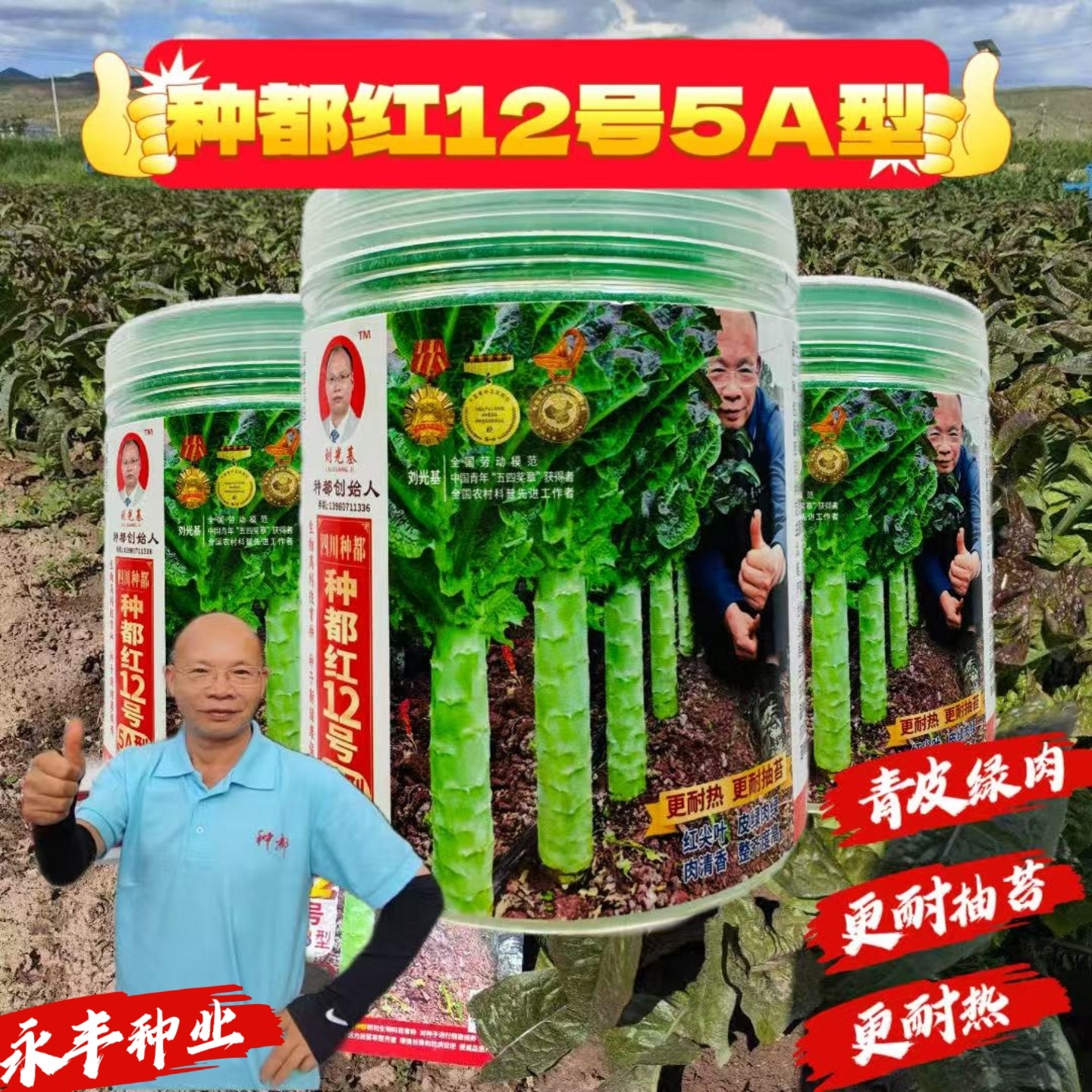 种都红12号红尖叶莴笋种子耐寒耐低温早春秋冬播莴苣种籽农家基地