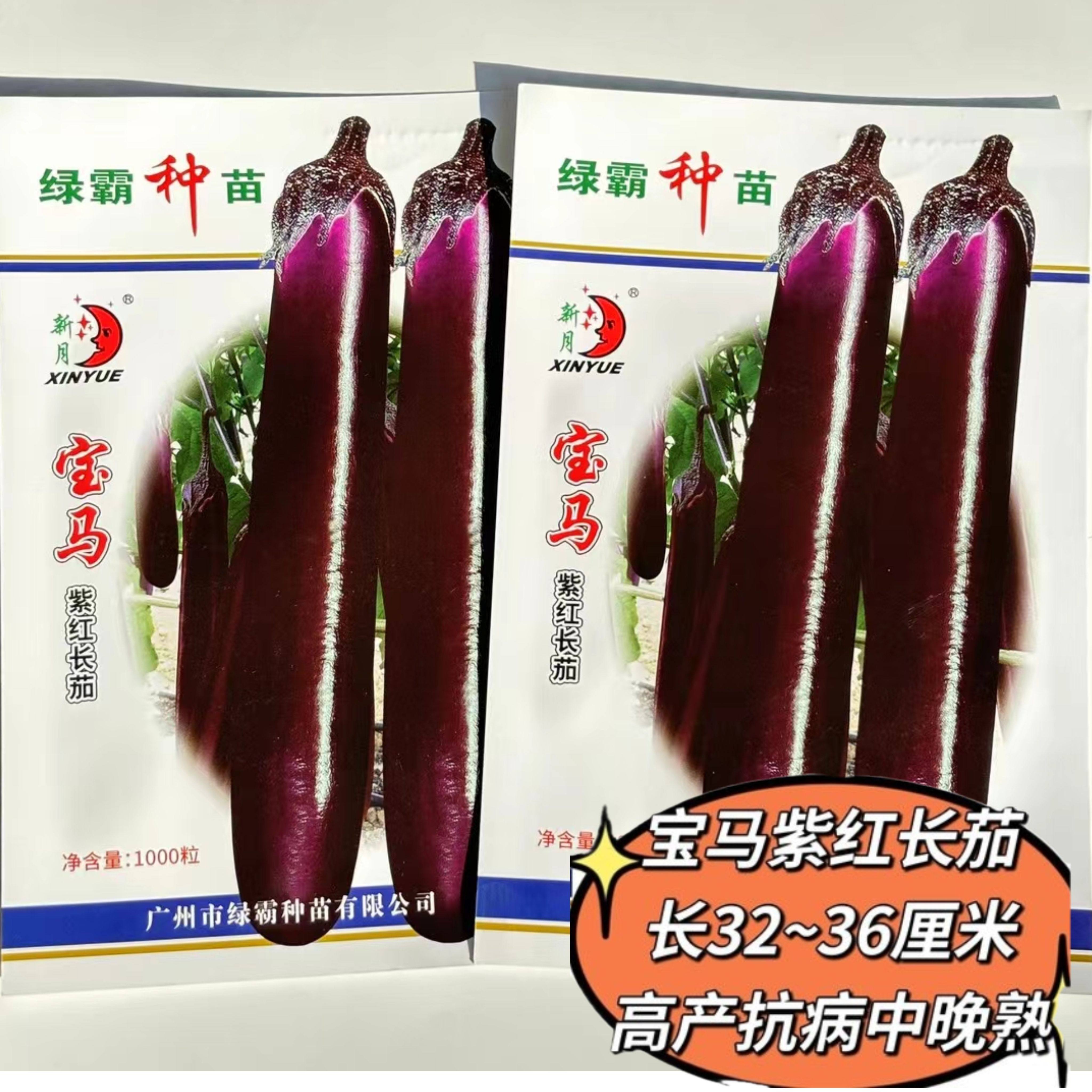 绿霸宝马紫红长茄茄子种籽春秋中早熟果条顺直果肉白色致密粗茄子