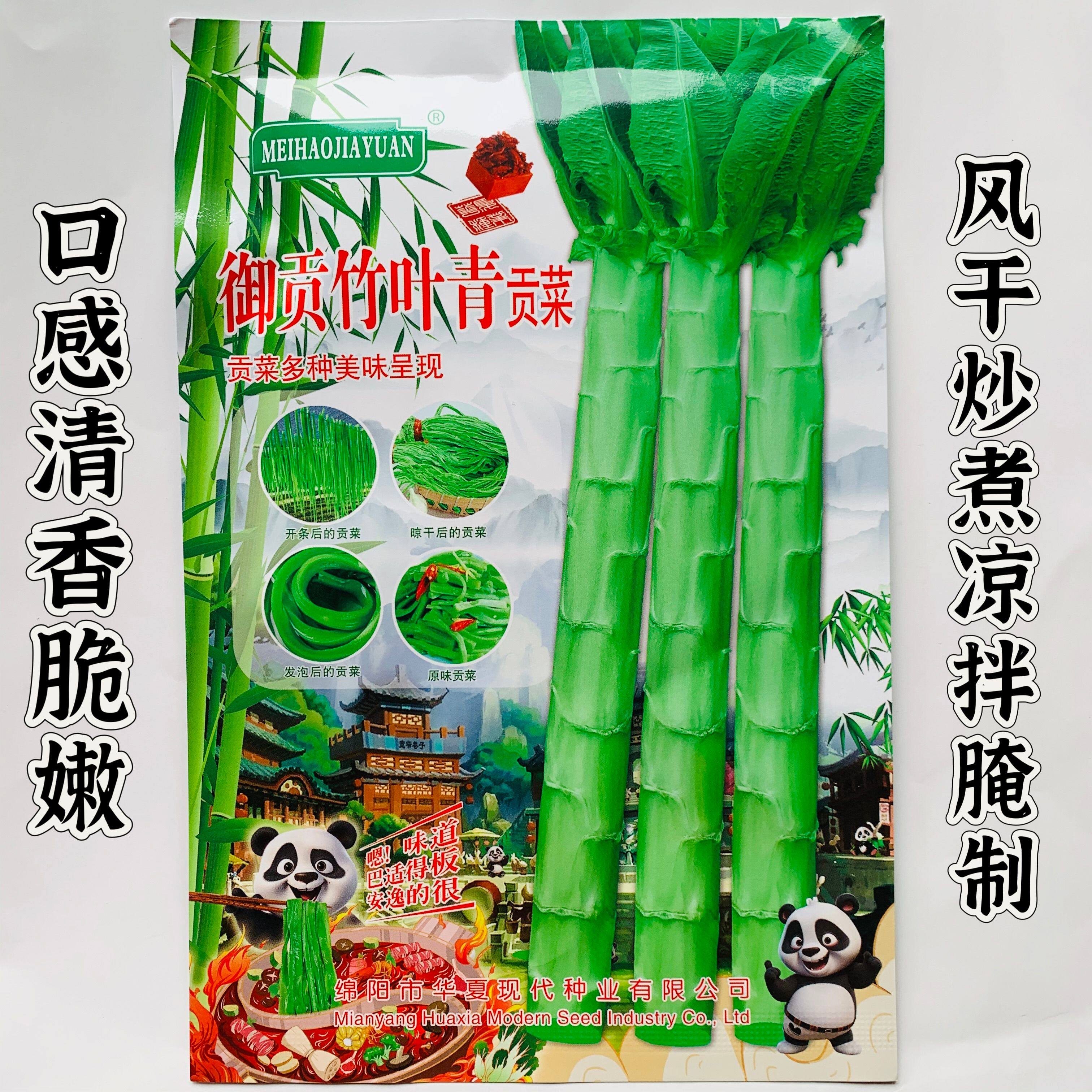 御贡竹叶青贡菜种子高产苔菜种籽特产蔬菜种子响菜籽山蜇菜蔬菜籽