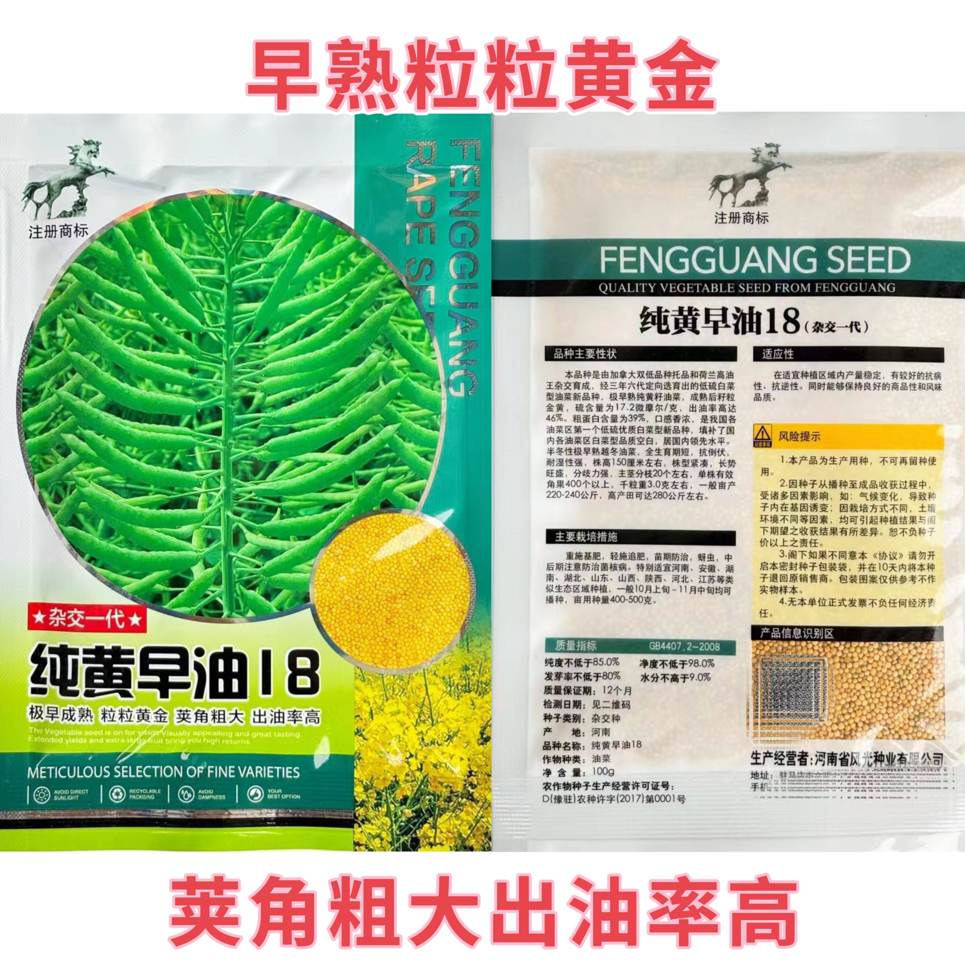 极早油98油菜籽极早熟矮杆高油正品非转基因黄籽耐寒耐旱强蔬菜籽