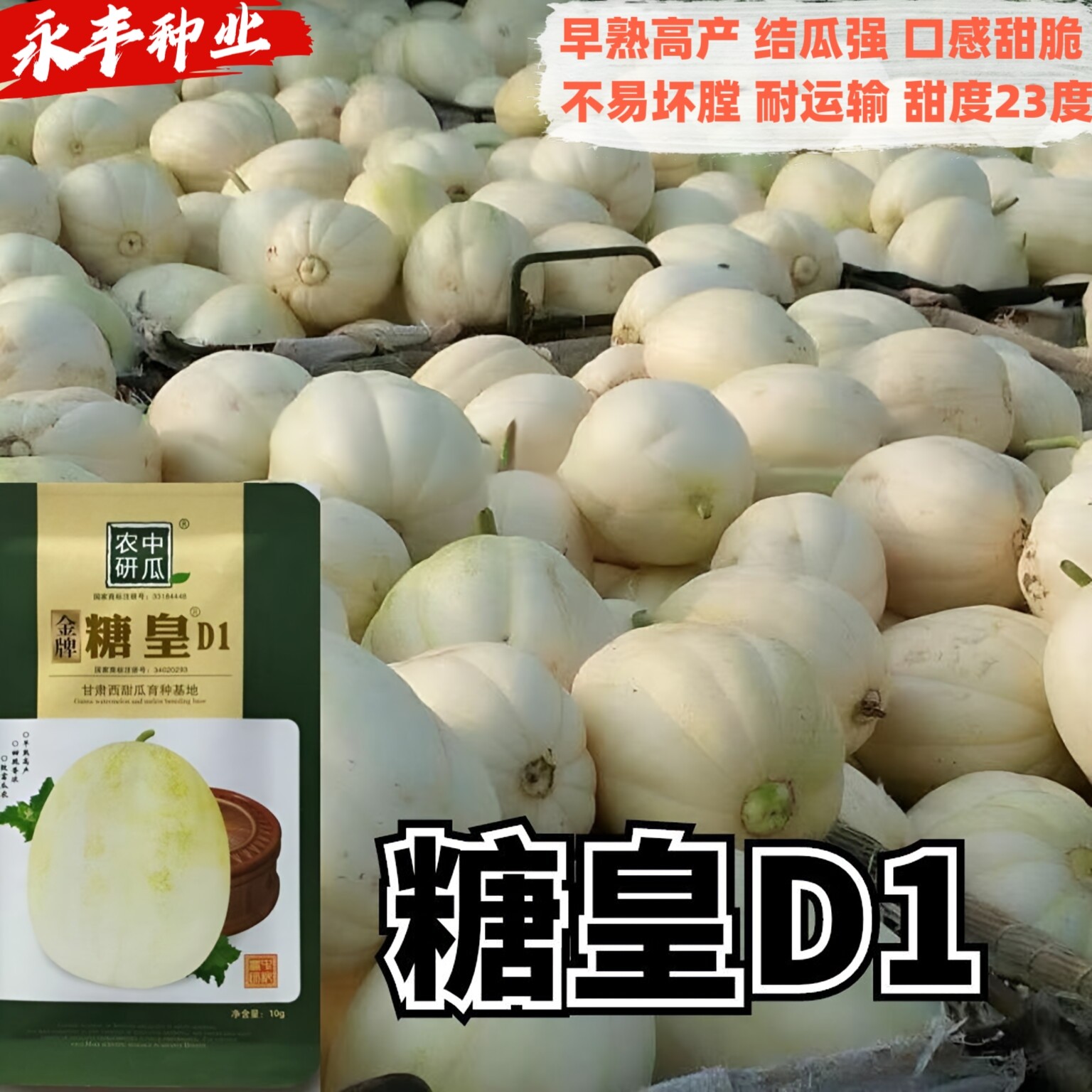 糖皇D1甜瓜种子早熟高产瓤黄白色抗逆性强耐贮运糖度高基地甜瓜籽