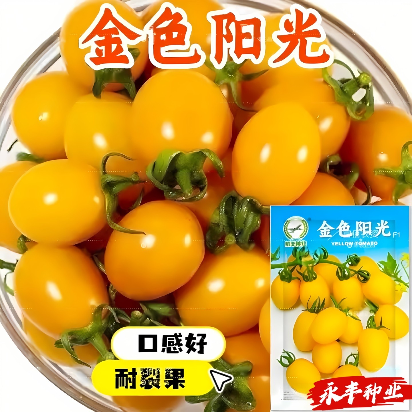 金色阳光黄色樱桃番茄种子超甜黄色圣女果小柿子西红柿盆栽蔬菜籽