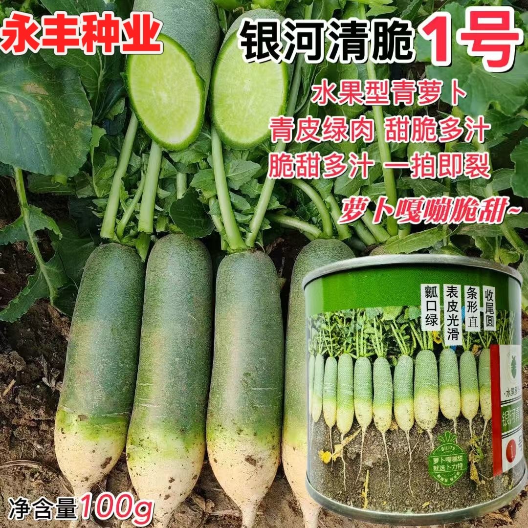 卜力特银河青脆1号2号水果青萝卜籽青皮绿肉甜脆多汁萝卜种籽