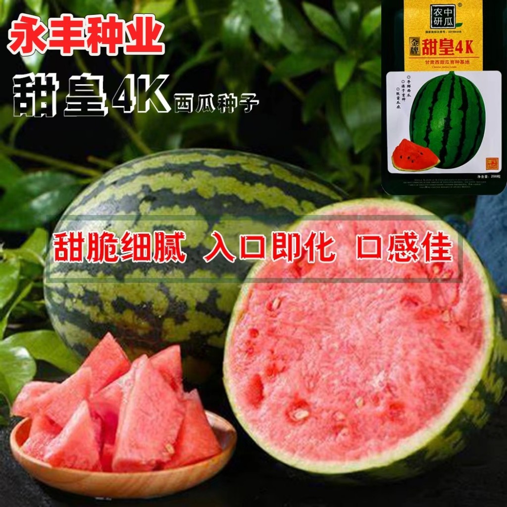 甜皇4K西瓜种子早熟薄皮高糖干沙瓤西瓜籽高甜度耐低温弱光口感佳