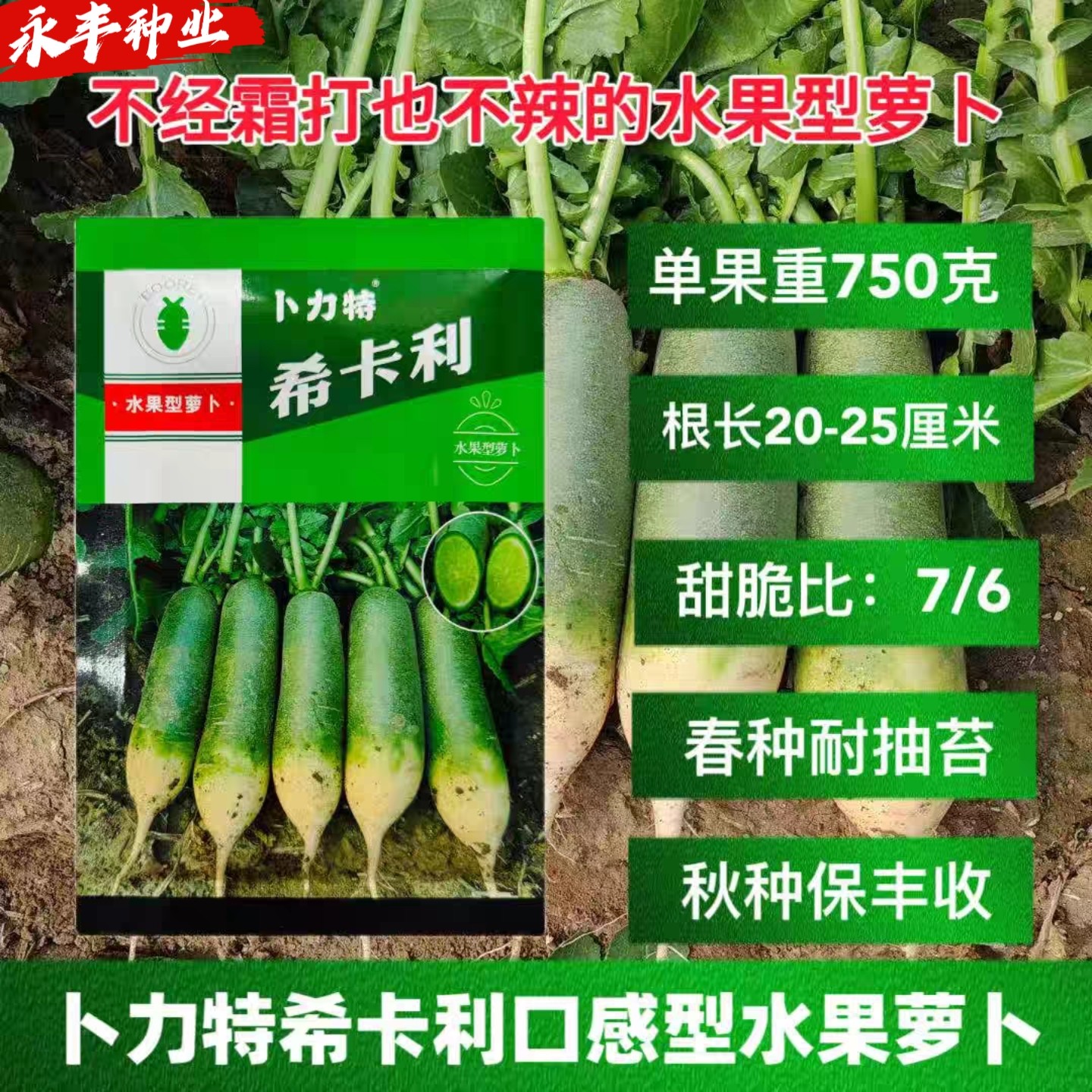 卜力特希卡利水果型甜脆青萝卜种子肉质甜脆汁水充足不辣水果萝卜