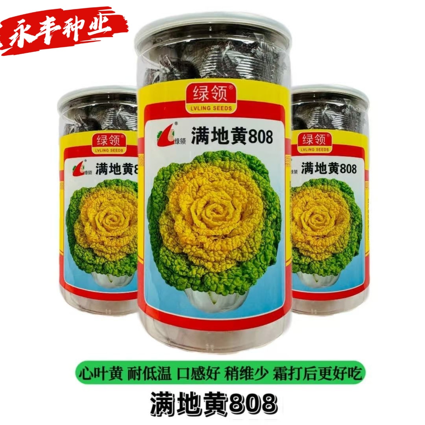 满地黄808黄心乌塌菜白菜种耐寒高产紧凑矮脚白梗菜种秋冬播全国