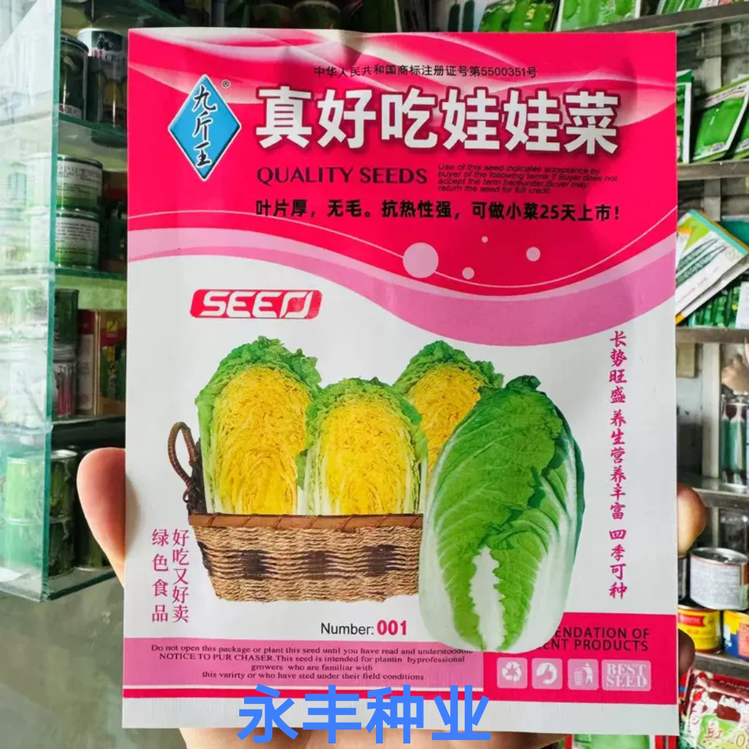 真好吃娃娃菜种子黄心娃娃菜籽种春夏秋季播种大白菜蔬菜种籽孑