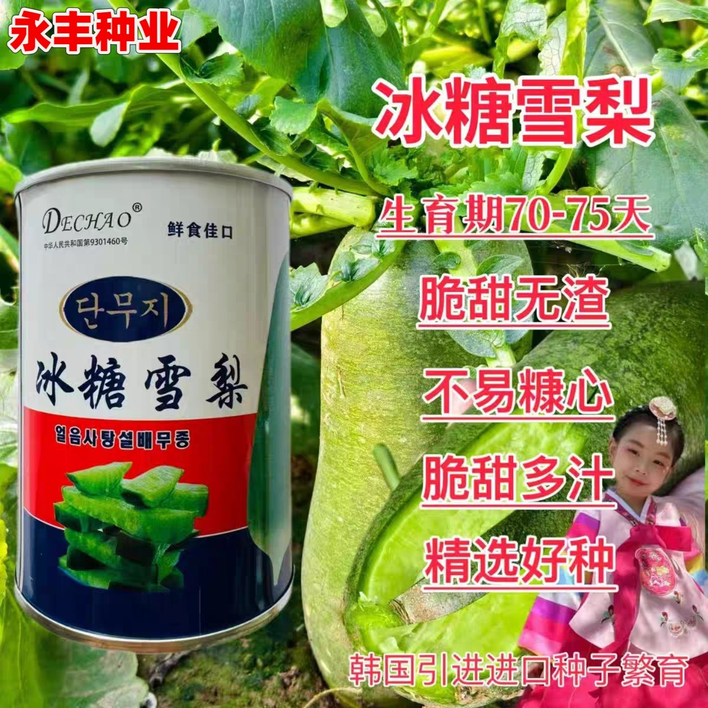 韩国进口冰糖雪梨水果萝卜种子脆甜多汁不易糠芯南北方菜园秋播