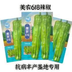 美农618辣椒种子早熟抗病丰产绿色薄皮泡椒种子灯笼椒苏椒辣籽