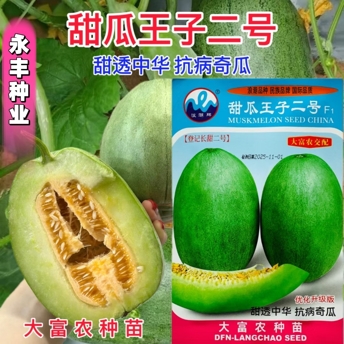 浪潮牌甜瓜王子二号甜瓜种子中早熟长椭圆形香瓜种籽抗病耐重茬