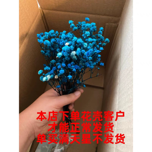 满天星永生花 花艺花束装饰品