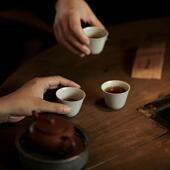 包邮 单泡 茶样试喝装 单拍不发货 8g不知春斋武夷岩茶 99顺丰