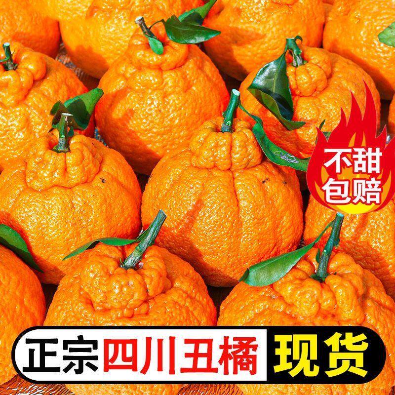 正宗四川丑柑不知火新鲜桔子现货当季水果
