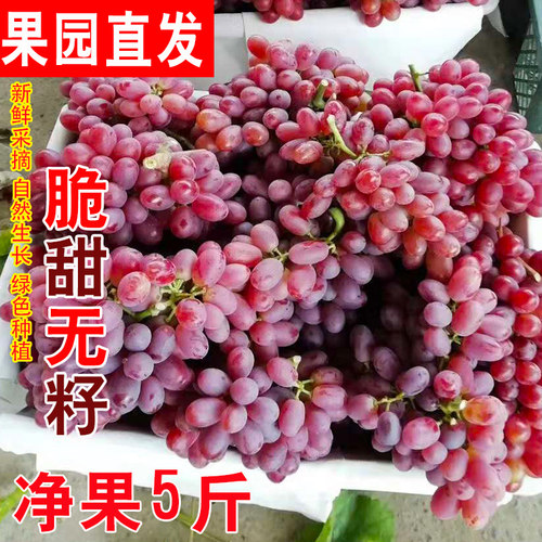 精品克伦生葡萄新鲜新疆无籽红提子红宝石葡萄脆甜无核孕妇水果-封面