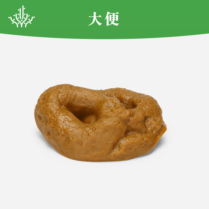 盛世心源沙盘游戏心理沙具仿真大便整蛊吓人恐怖恶心道具模型摆件