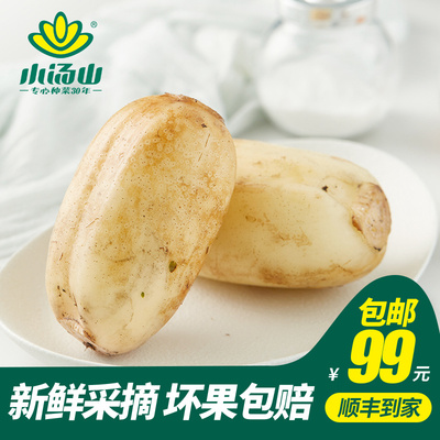 小汤山莲藕新鲜蔬菜