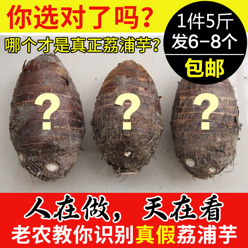 【荔浦直发】广西特产正宗荔浦芋头 新鲜香芋槟榔芋蔬菜5斤包邮 水产肉类/新鲜蔬果/熟食 芋头 原图主图