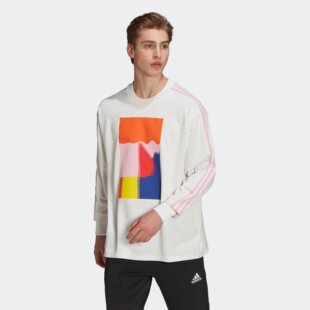 Adidas/阿迪达斯 男子比利时队足球运动宽松长袖球衣 HE1434